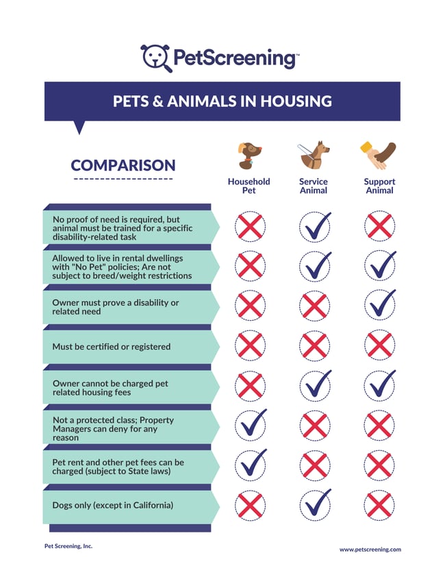 Pets and Animals Comparison
